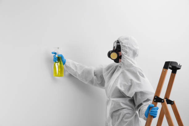 Environmental Consulting for Mold Prevention in Arcadia, CA